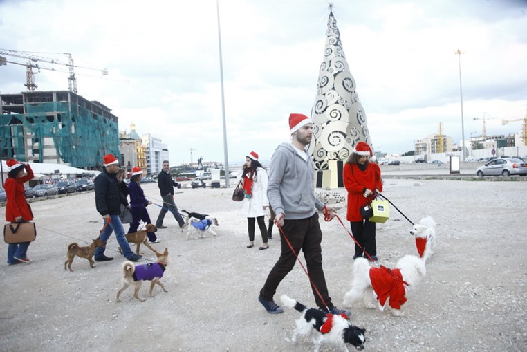 Fun Walk With Santa